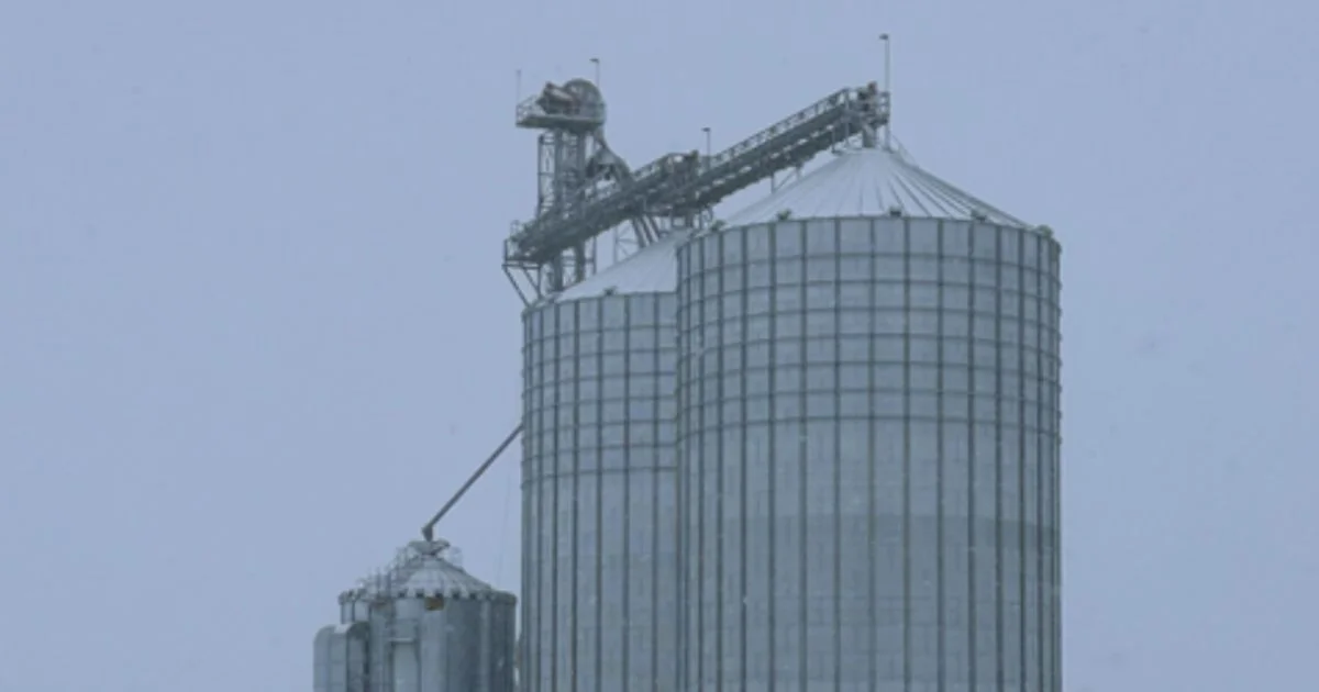 Grain storage silos with conveyor system in winter