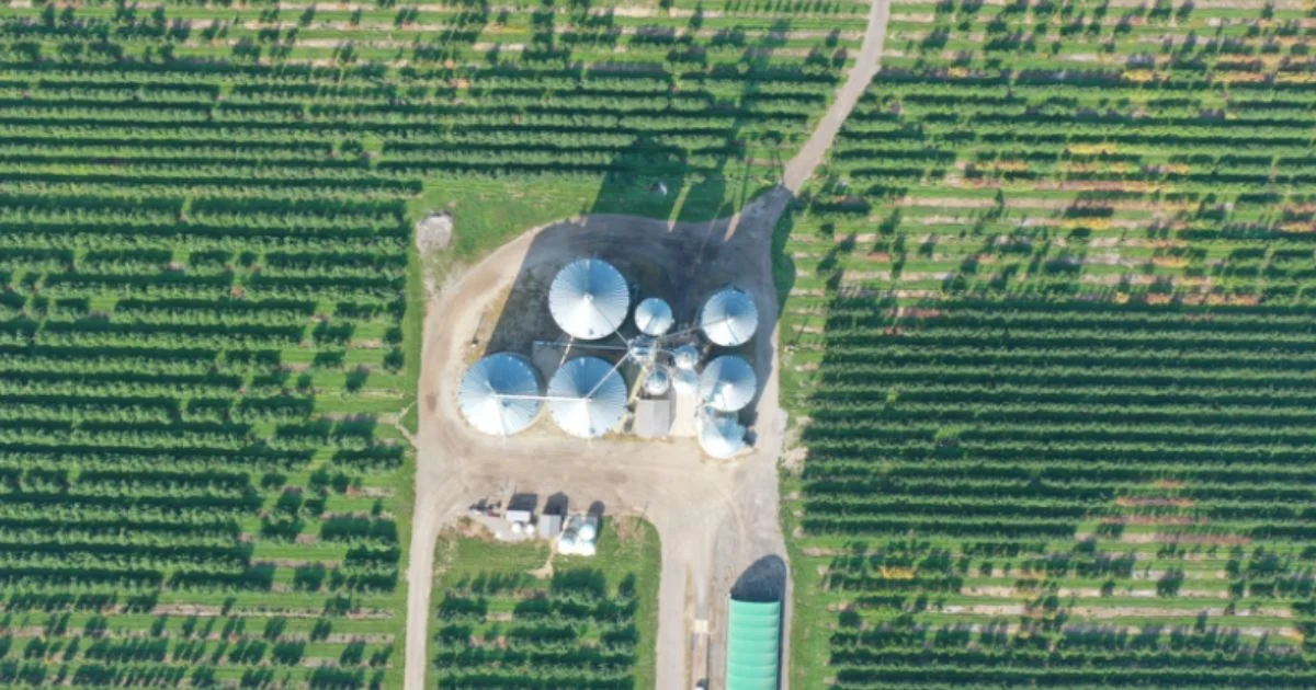 Aerial view of grain storage tanks surrounded by crop fields