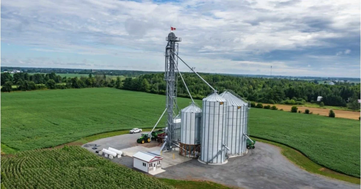 On-farm grain storage silos surrounded by green farmland