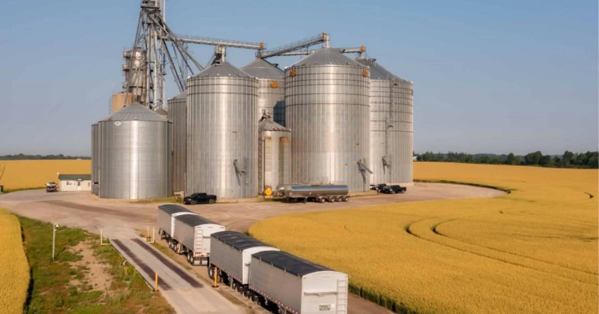 Large grain storage silos with trucks at agricultural facility