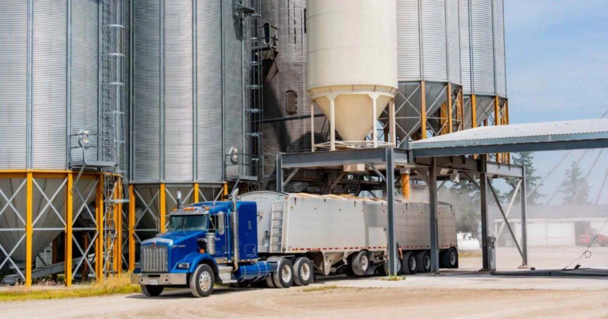 Semi truck loading grain from storage silos at farm